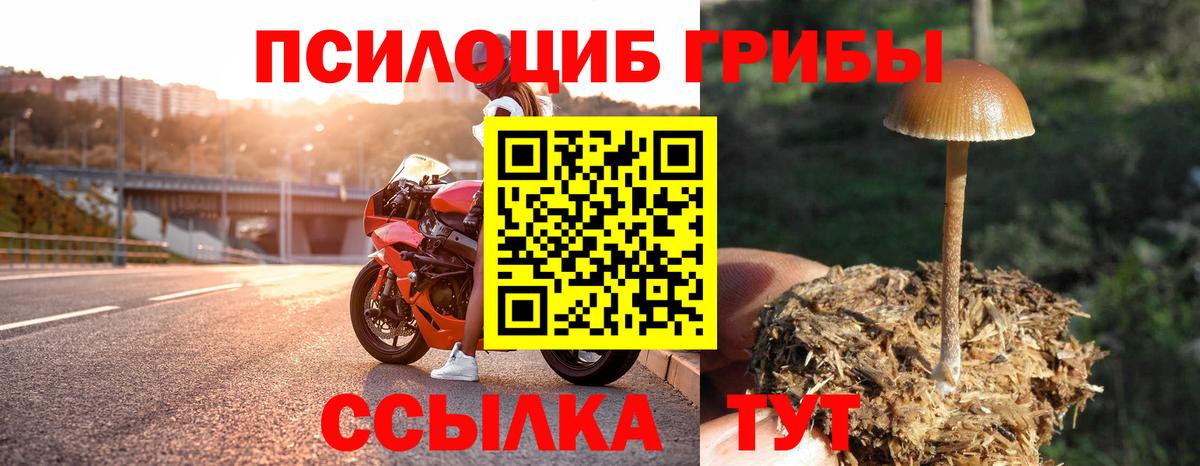 Галлюциногенные грибы Magic Shrooms Чебаркуль