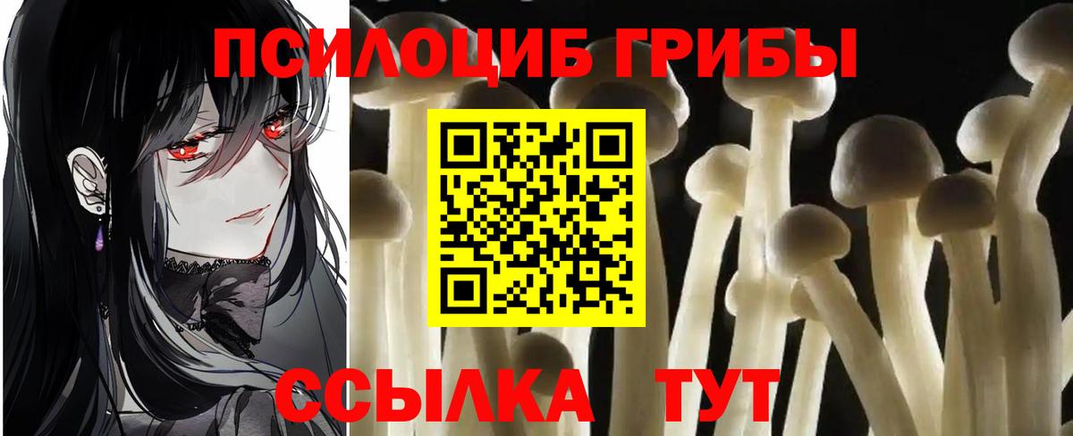 Чебаркуль  как найти   Вход с VPN  Галлюциногенные грибы мицелий  Галлюциногенные грибы MAGIC MUSHROOMS 
